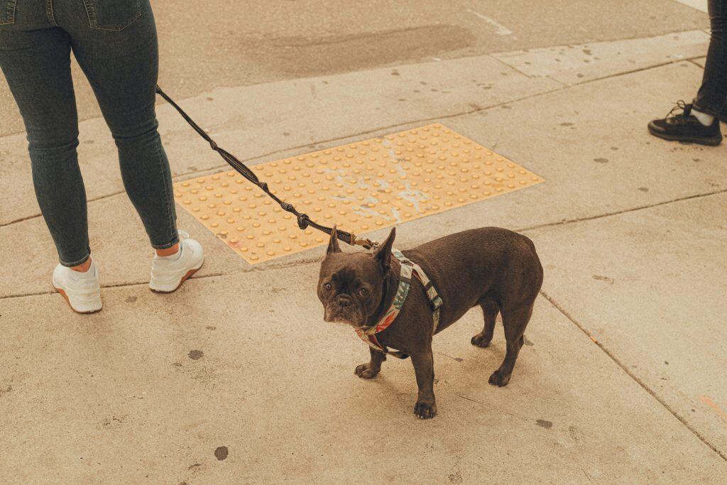 frankie cordoba SduaLCrQtVE unsplash