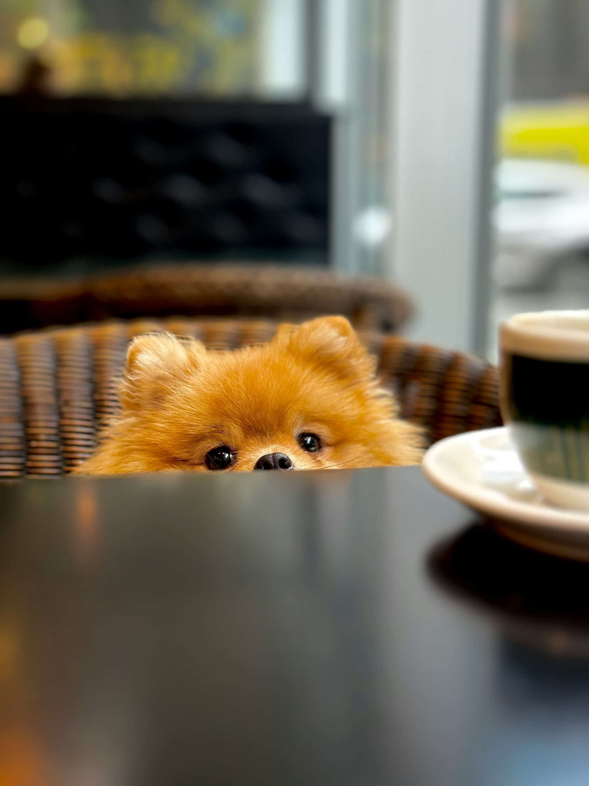 ivan krasnoperov XqROiY9cw A unsplash